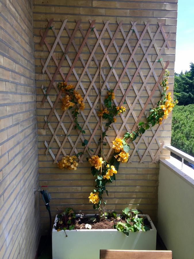 Happy Holiday In Rome B&B Екстериор снимка